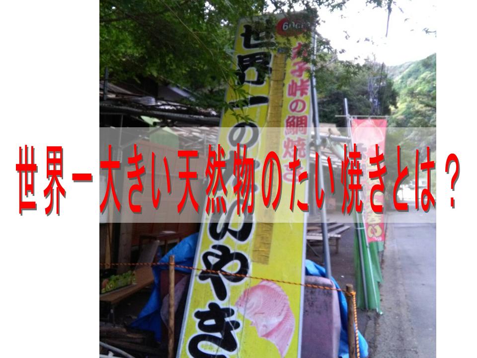 お祝いに最適 静岡市の 丸子峠大鯛焼き は世界一大きい60cmの天然物のたい焼き 地方発送出来る ガラッパ