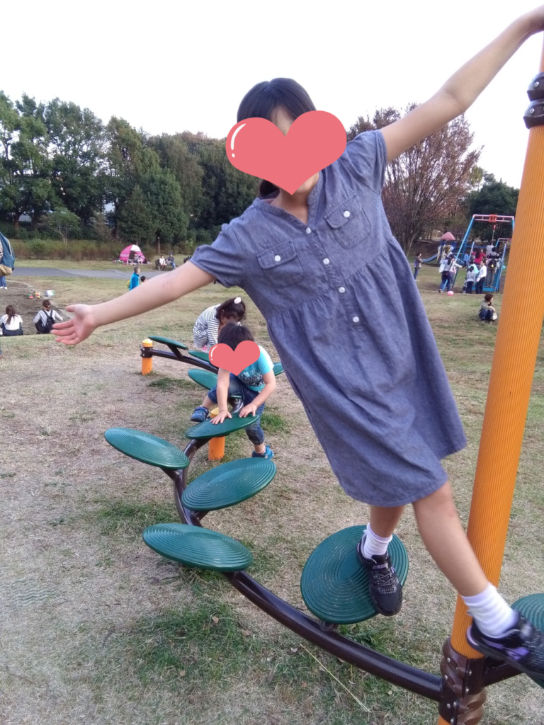 葉っぱの様な遊具